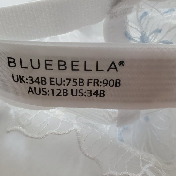 Bluebella Vienna White Blue Lace Floral Embroidery Underwire Bra Style 41214 34B - Picture 9 of 10